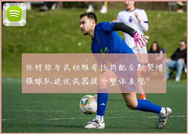 怀特称与武切维奇挡拆配合默契增强球队进攻武器提升整体表现