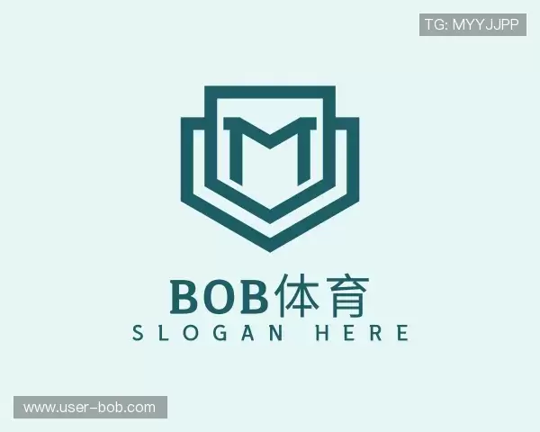 介绍BOB体育